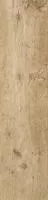 Керамогранит Axi Golden Oak (AS3C) 22.5x90 от Atlas Concorde (Италия)