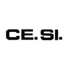 Логотип CE.SI.