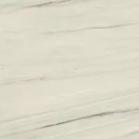 Керамогранит Marvel Dream Bianco Fantastico Lappato (AL2N) 60x60 от Atlas Concorde (Италия)