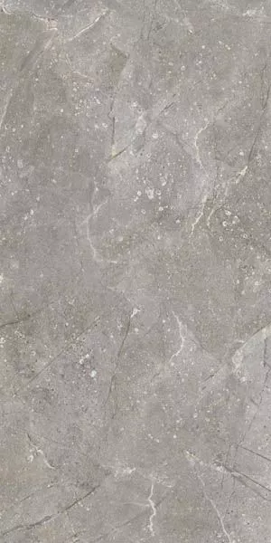 Керамогранит Dedalo Ceniza R 59.3x119.3 от Vives Ceramica (Испания)
