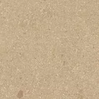 Керамогранит PANGEA Gea AB|C Mostaza 60 60x60 от Vives Ceramica (Испания)