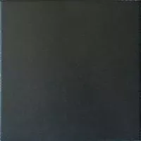 Керамогранит Caprice Black 20870 20x20  Equipe Ceramicas
