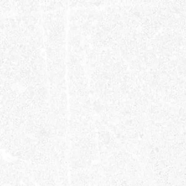 Керамогранит Corneille-R Blanco 15x15 от Vives Ceramica (Испания)