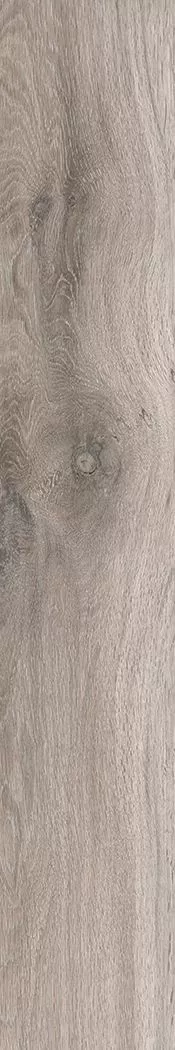 Керамогранит Barkwood Ash 20×120