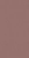 Настенная плитка WIDE&STYLE MINI PAPRIKA RET (PF60008237) 60x120 от ABK Ceramiche (Италия)