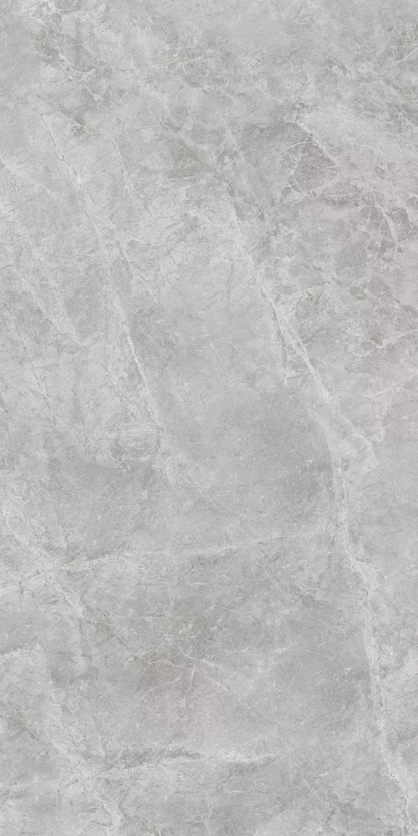 Керамогранит Grigio Savoia 60×120