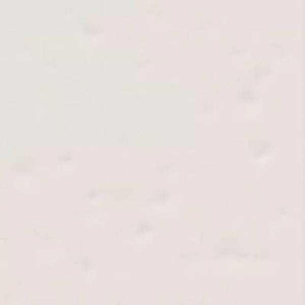Настенная плитка Paola Blanco-B 20x20 от Vives Ceramica (Испания)