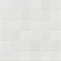 Керамогранит MINTONS OLD WHITE 20x20 от Dune (Испания)