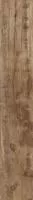 Керамогранит Woodmania Caramel 20x120 от Ragno (Италия)