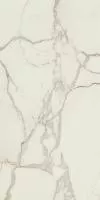 Керамогранит MARMO E PIETRA CALACATTA ORO NAT/RET (163006) 160x320 от AVA Ceramica (Италия)