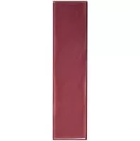 Настенная плитка GRACE BERRY GLOSS (124926) 7.5x30 от WOW (Испания)