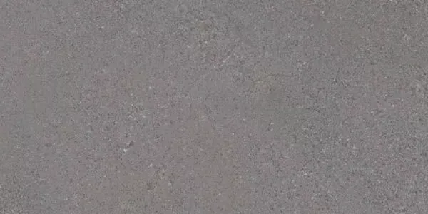 Керамогранит Alpha Plomo 30x60 от Vives Ceramica (Испания)