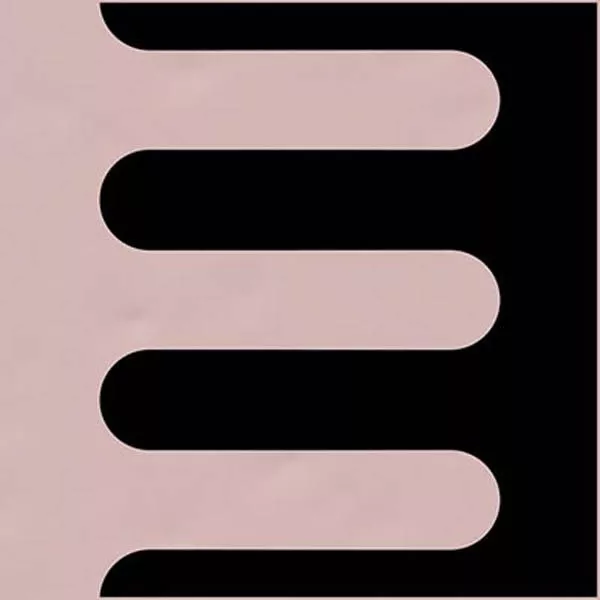 Декор Filippo Soul Garland Rosa Negro 20x20 от Vives Ceramica (Испания)