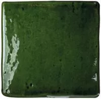 Керамогранит ROOTS S OLIVE GLOSS (128210) 11x11 от WOW (Испания)