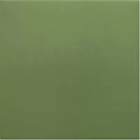 Керамогранит RIVOLI GREEN 30716 20x20  Equipe Ceramicas