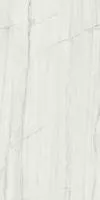 Керамогранит NOBILE MONTBLANC LUX (PF60006900) 60x120 от Ariana (Италия)