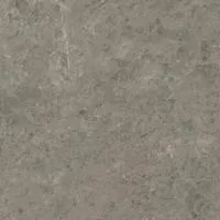 Керамогранит Marvel Meraviglia Grigio Elegante Lapp. (AJI8) 60x60 от Atlas Concorde (Италия)