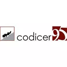 Логотип Codicer
