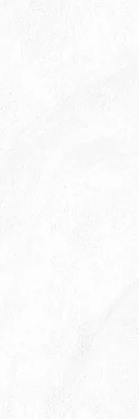 Настенная плитка Stravaganza-R Blanco 25x75 от Vives Ceramica (Испания)