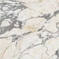 Керамогранит EPOQUE 21 ARABESCATO NAT RET 80x80 от Ariana (Италия)