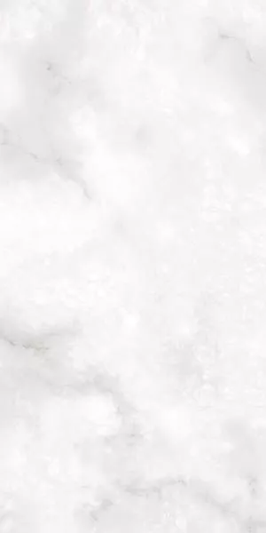 Керамогранит Sifo Blanco R 119 59.3x119.3 от Vives Ceramica (Испания)