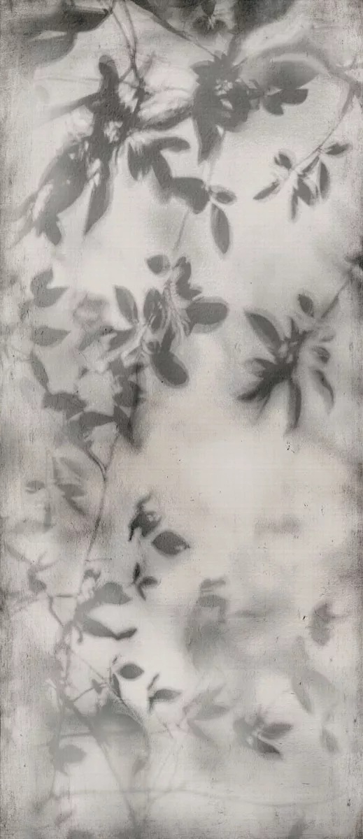 Керамогранит ART WALLS SHADOW NAT R 120x280