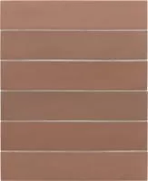 Керамогранит WADI Terra 30061 6x30  Equipe Ceramicas