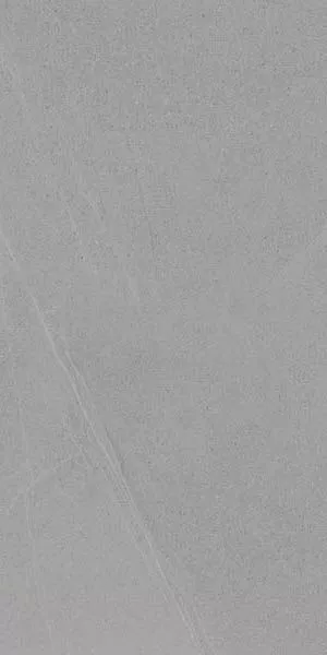 Керамогранит Seine-R Gris 60120 60x120 от Vives Ceramica (Испания)