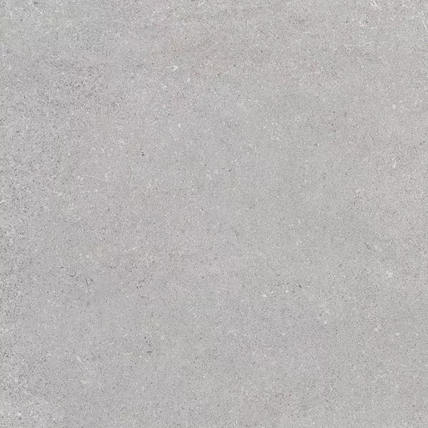 Керамогранит Nassau-R XTRA Gris 60 60x60 от Vives Ceramica (Испания)