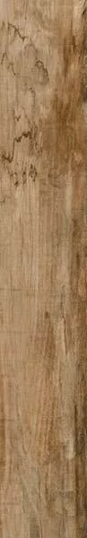 Керамогранит Veneto-R Canela 19.2x119.3 от Vives Ceramica (Испания)