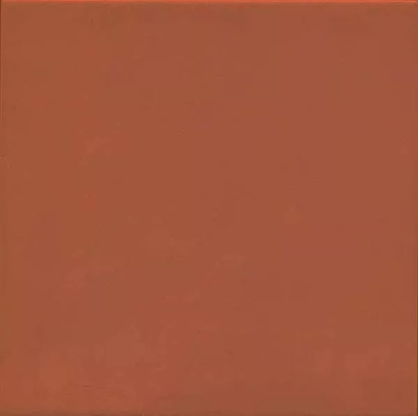 Напольная плитка 1900 Rojizo 20x20 от Vives Ceramica (Испания)