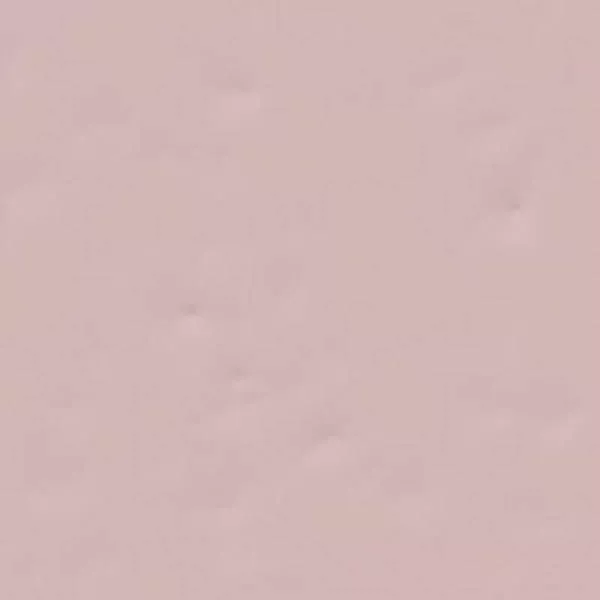Настенная плитка Paola Rosa-B 20x20 от Vives Ceramica (Испания)