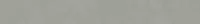 Бордюр Rinascente Grey Listello (610090002499) 7.2x60 от Atlas Concorde (Россия)