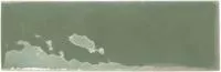 Керамогранит REBELS MOSS GLOSS (129061) 5x15 от WOW (Испания)