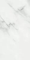 Керамогранит Jewels Statuario Venato LUC SQ (JW14) 119.7 60x119.7 от Mirage (Италия)