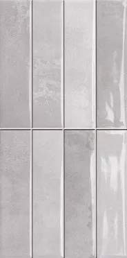 Настенная плитка LUKEN GRAY GLOSS 30x60 от Dual Gres (Испания)