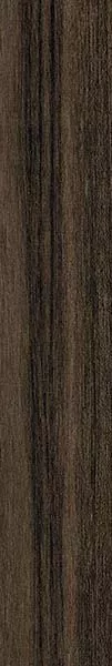 Бордюр BELICE Liston Belice-R Carbon 10x59.3 от Vives Ceramica (Испания)