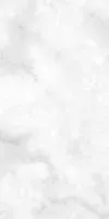 Керамогранит Sifo Blanco R 119 59.3x119.3 от Vives Ceramica (Испания)