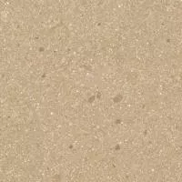 Керамогранит PANGEA Gea-R AB|C Mostaza 59.3 59.3x59.3 от Vives Ceramica (Испания)