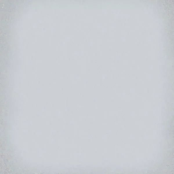 Напольная плитка 1900 Gris 20x20 от Vives Ceramica (Испания)