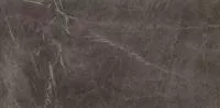 Керамогранит Marvel Grey Stone ASFJ 45x90 от Atlas Concorde (Италия)