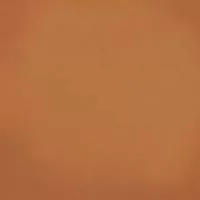 Напольная плитка Barnet Cuero 31.6x31.6 от Vives Ceramica (Испания)