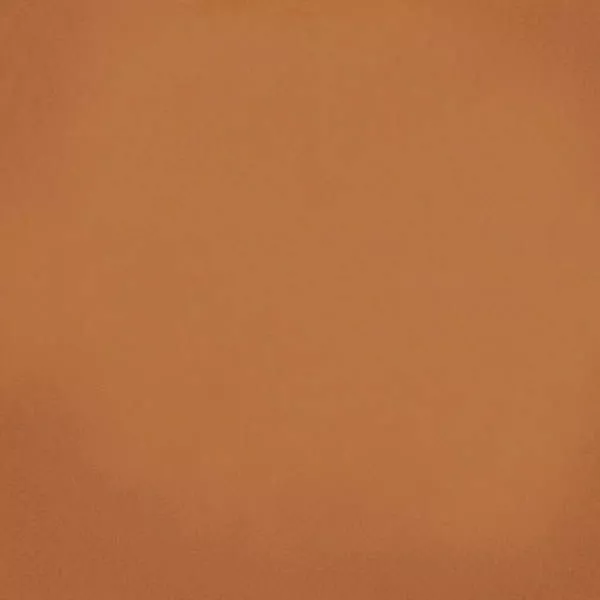 Напольная плитка Barnet Cuero 31.6x31.6 от Vives Ceramica (Испания)