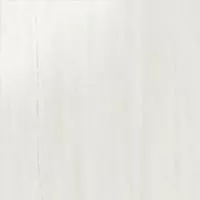 Керамогранит Marvel Stone Bianco Dolomite Lappato (AZRI) 60x60 от Atlas Concorde (Италия)