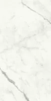 Керамогранит Marvel Shine Statuario Supremo Lappato (A4Q2) 60x120 от Atlas Concorde (Италия)