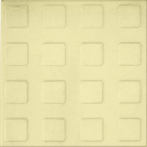 25-10x10-SS