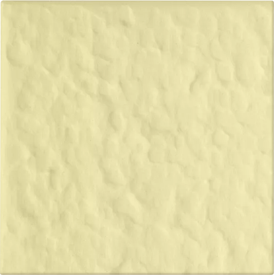 25-10x10-RT
