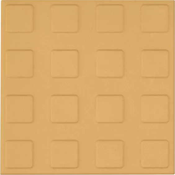 21-10x10-SS
