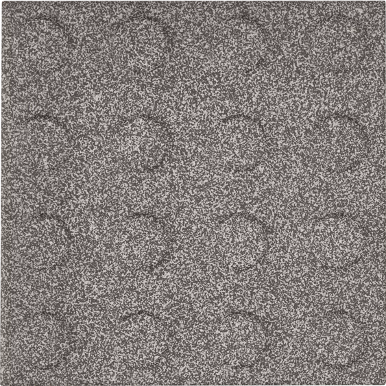 24-10x10-RC