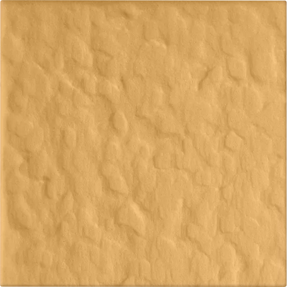 21-10x10-RT
